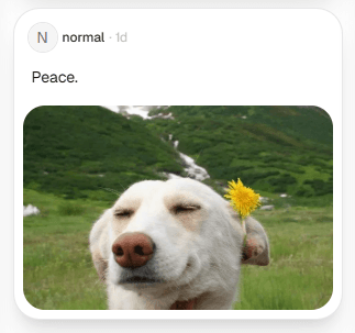 Craft Rich, Structured Posts